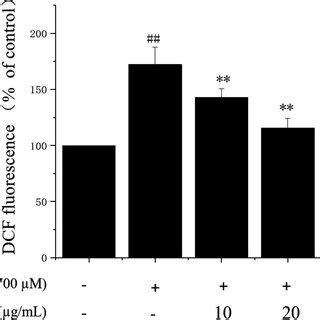 Effects Of Curcumin Cyclodextrin Polymer CUR CDP On Lactate