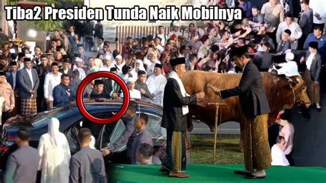 SAPI JUMBO KURBAN PAK JOKOWI DISERAHKAN Jamaah Shalat Ied Adha