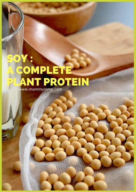 Soy Protein Awareness: A complete Plant based protein - Parenting ...