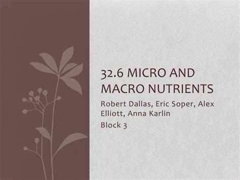 Ppt Micro And Macro Nutrients Powerpoint Presentation Free