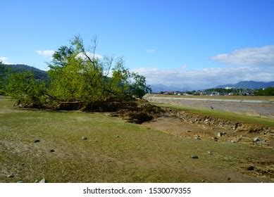 African Savannah Landscape View Stock Photo 1257153670 | Shutterstock