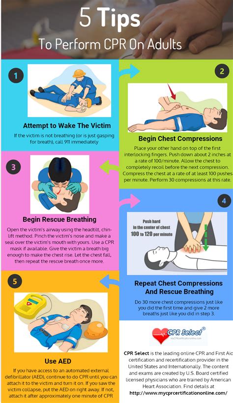 5 Tips To Perform Cpr On Adults Below Infographic Shows The Tips To By Bruse Rockwell Cpr