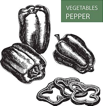 Pepper Mexican Cuisine Cook Set Vector, Mexican Cuisine, Cook, Set PNG and Vector with ...