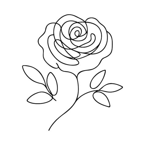 Premium Vector Continuous One Line Drawing Rose Flower