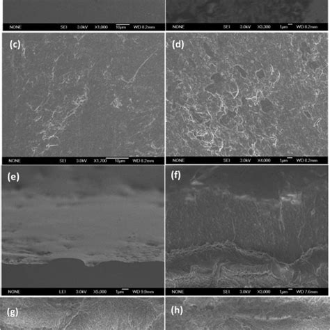 Sem Images Of The Surface And Cross Sections Of Nafion A E