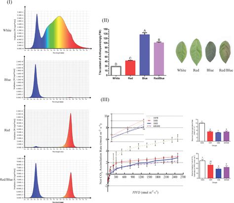 Frontiers Integrated Transcriptome And Metabolome Analysis Reveals