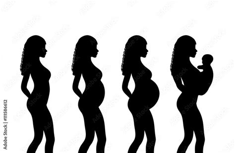 Pregnant Woman Silhouette Stages Of Pregnancy Stock Vector Adobe Stock