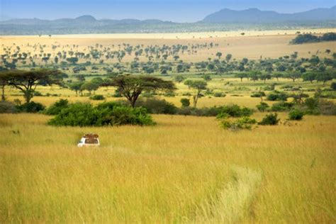 105 Best National Parks in Africa - Safari, Wildlife, & Game Reserves