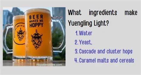 Yuengling Light Alcohol Content: 12 oz Calories, IBU & ABV ...