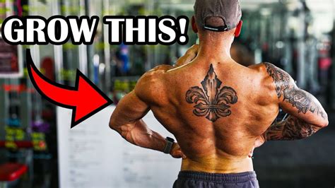 Maximize Your Back Growth The Ultimate Muscle Building Back Workout