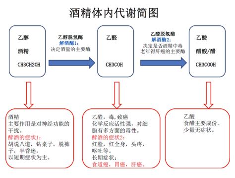 对照！导致肝癌的因素中，你接触了哪些？如何预防肝病？收藏！ · 科普中国网