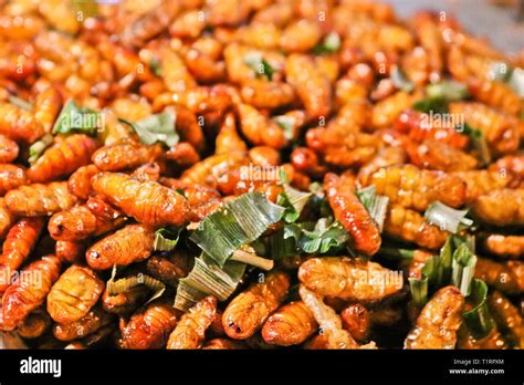 Exotic food - fried silkworm larvae Stock Photo - Alamy