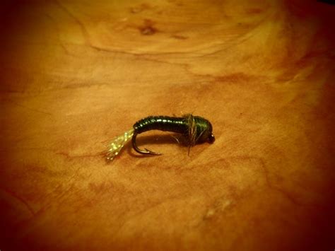 Fishing Fly Caddis fly larvae rock worm