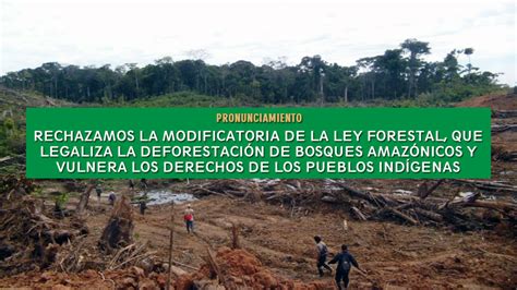 Rechazamos La Modificatoria De La Ley Forestal Que Legaliza La