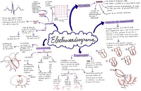 Mapa Conceptual Electrocardiograma Fisiologia Studocu