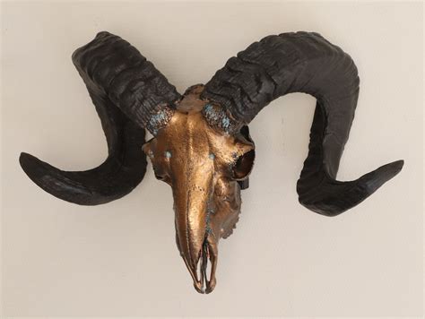 Ram Skull Wall Mount Real Ram Skull Wall Decor Metal Ram Etsy