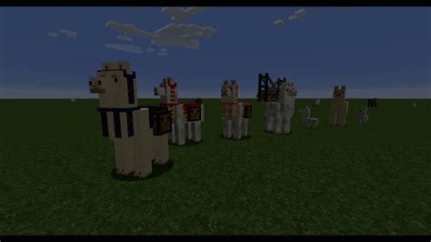 Minecraft How To Tame Llamas Youtube