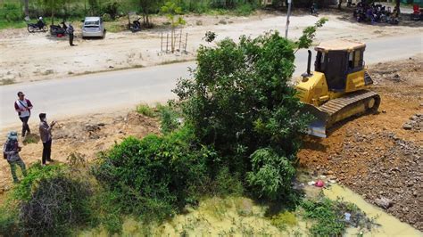 Incredible Komatsu D51px Strong Bulldozer Clearing Tree And Push Soil