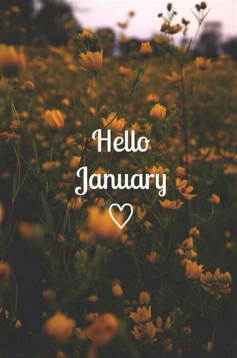 Hello January Images Pictures Quotes And Pics W Nsche