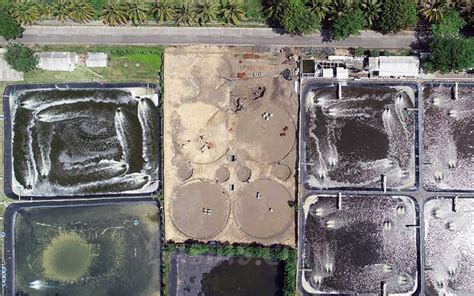 Potensi Lahan Pesisir Jabar Selatan Untuk Tambak Udang