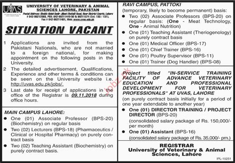 Uvas University Lahore Jobs For Professors Medical Officer Job