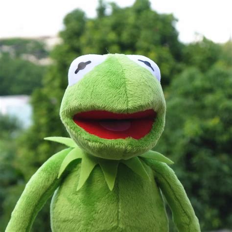 Mu Eco De Peluche Kermit De Cm Para Ni Os Mu Eco De Peluche Con