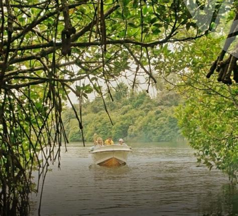 Reserva Ecológica Manglares Churute Farmtours