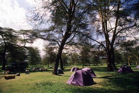 Fishermans Camp Camping Grounds Lake Naivasha Kenya Stock Photo