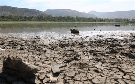 Casi Secas Las Presas En Agua Org Mx