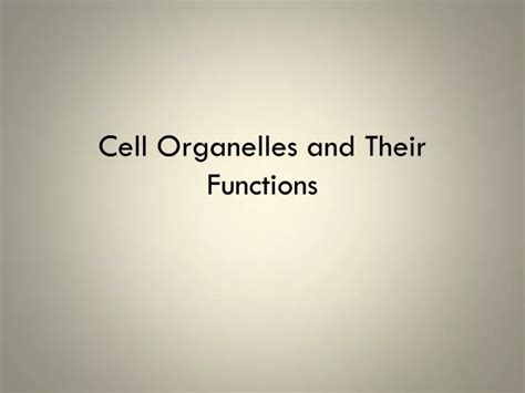 Ppt Cell Organelles And Their Functions Powerpoint Presentation Free