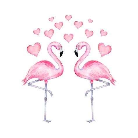 Premium Vector Watercolor Illustration Of Realistic Flamingo In Love