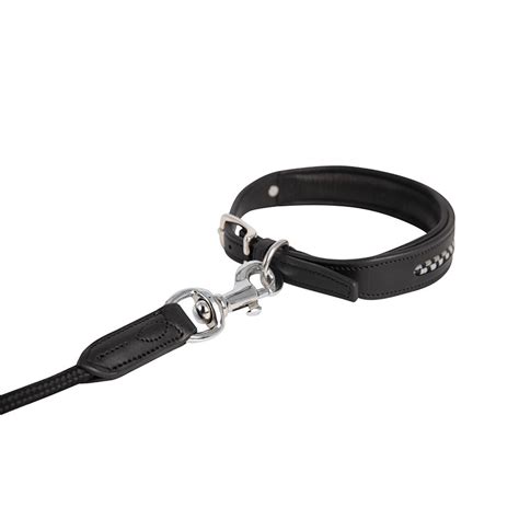 Dog Collar Antarès Sellier