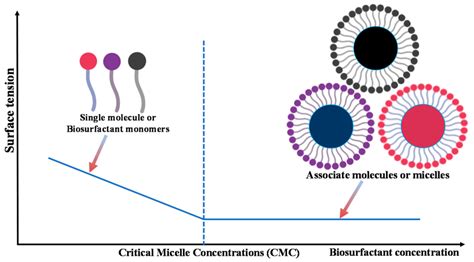 Critical Micelle Concentration Cmc And Micelle Formation Of Download Scientific Diagram