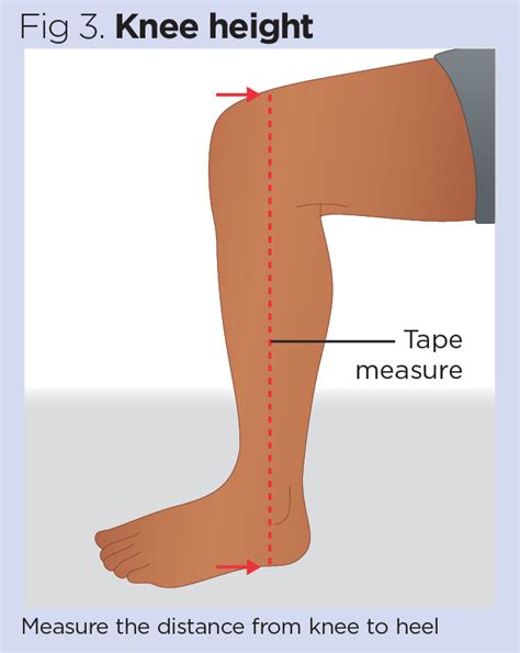 Accurate Measurement Of Weight And Height 2 Height And Bmi Calculation