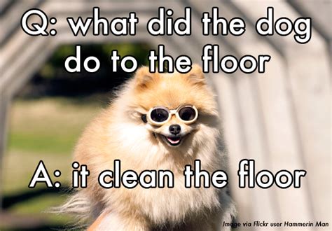 Funny Jokes That Don T Make Sense Funny Png