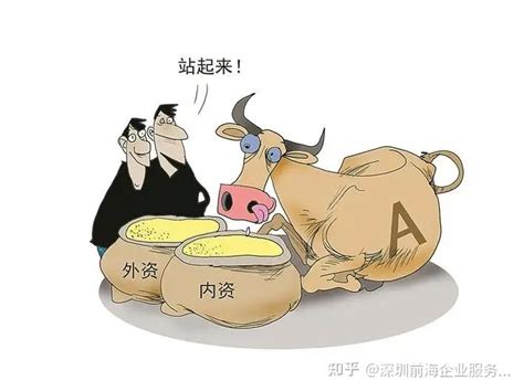 在深圳的内资公司想转为外资公司，需要什么条件？ 知乎