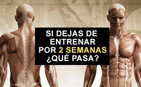 Qué Pasa Si No Entreno Por 15 Días Squad Fitness