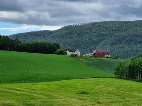 Utifriluft Grønne Nyanser