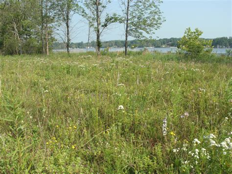 Rieth Fen Restoration - Merry Lea