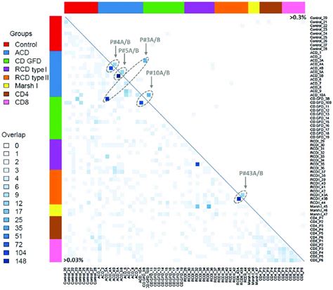 Heatmap of T cell repertoire TCR β sequence overlap between patients