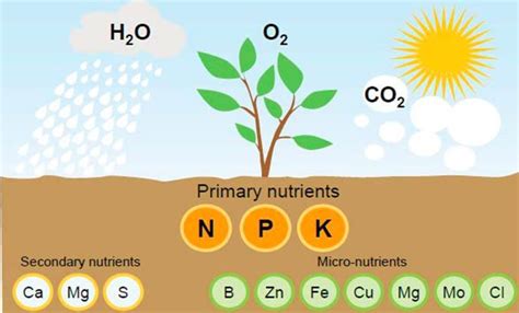 Why Potash • Gensource