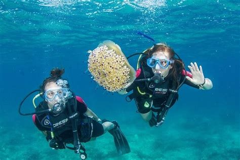 Boat Trip With Guided Snorkeling And Scuba Diving In Chania Crete