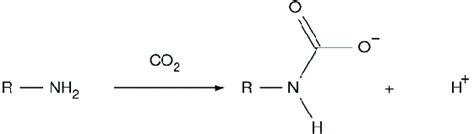 Generic reaction of carbamate synthesis. | Download Scientific Diagram