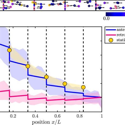 Comparison Of Mean Field And Discrete Stochastic Models A Snapshot