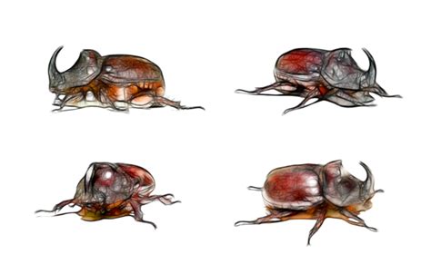 Japanese Rhinoceros Beetle Png Transparent Images Free Download