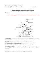 Module 01 Lab Bacteria And Blood Microbiology Kit MBK Lab Report Name