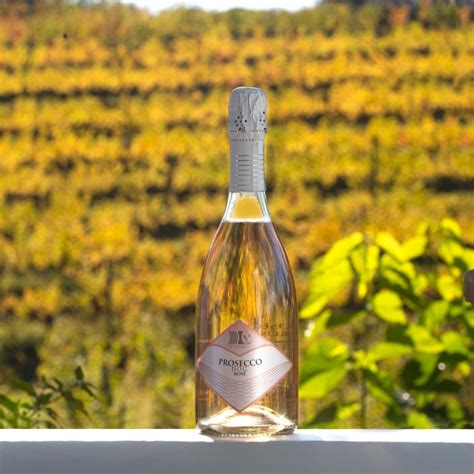 Prosecco DOC Extra Dry Rosè Millesimato 2022 Vini De Lorenzi Capacità