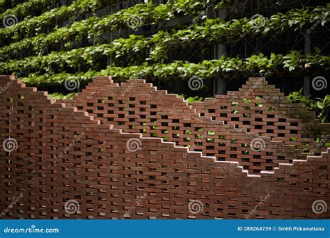 Red Brick Wall and Green Leaves in the Garden Stock Image - Image of ...