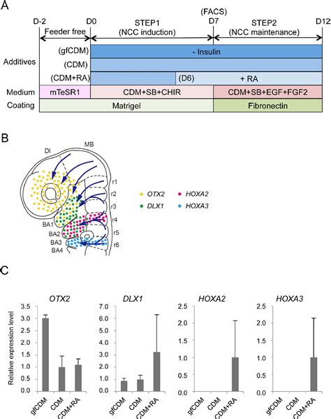 Figure 4 From Derivation Of Mesenchymal Stromal Cells From Pluripotent