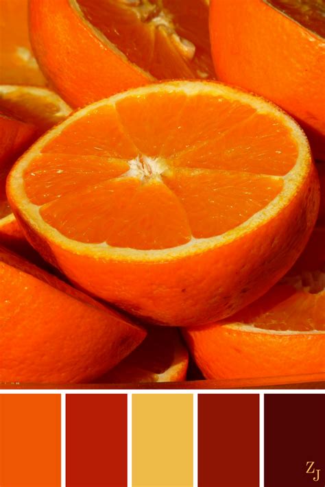 Zj Colour Palette 114 Orange Color Scheme With Red And Yellow